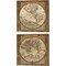 Damask World Map by Elizabeth Medley 14" x 14" Canvas Wall Art (Set of 2)